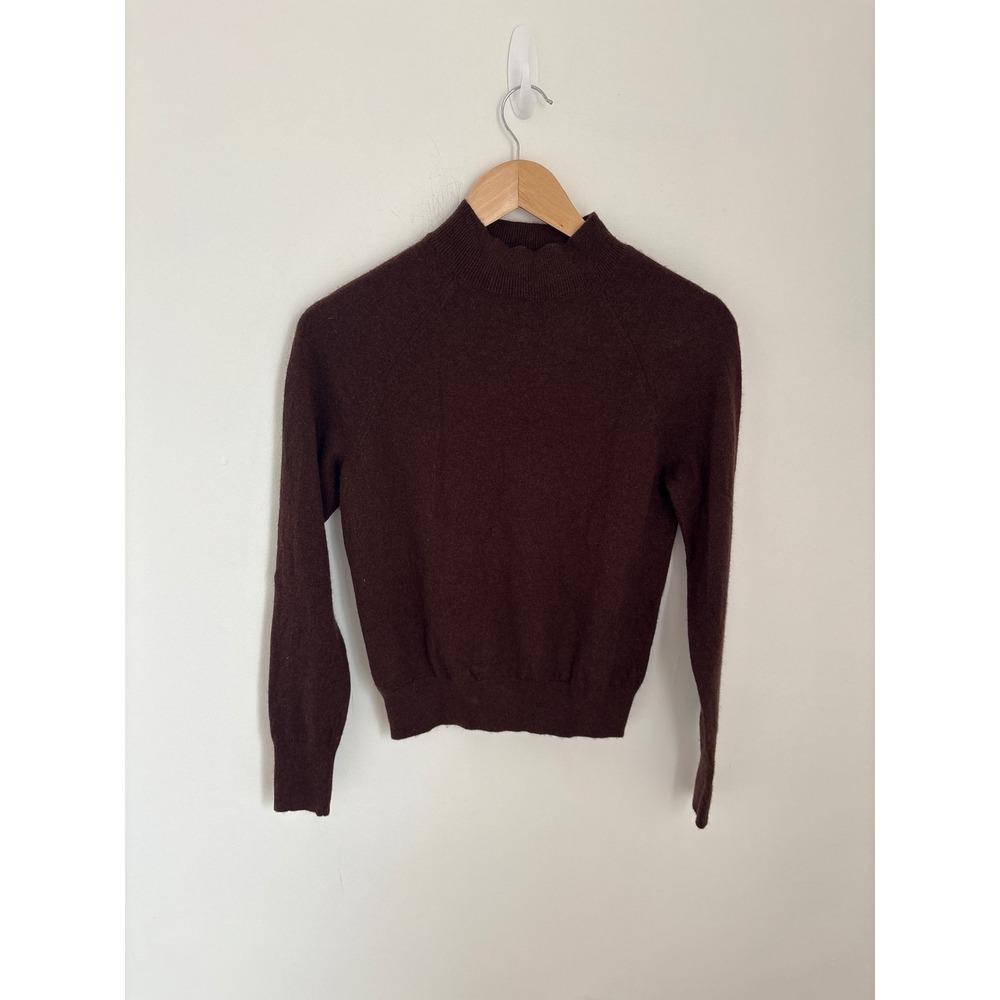Everlane Brown 100% Cashmere Mock Neck Sweater Womens XS Long Sleeve Raglan